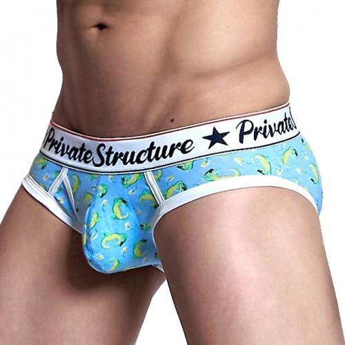Classic Motif Mini Brief - Vacacroc Teal - | Private Structure - | MAD Lifestyle