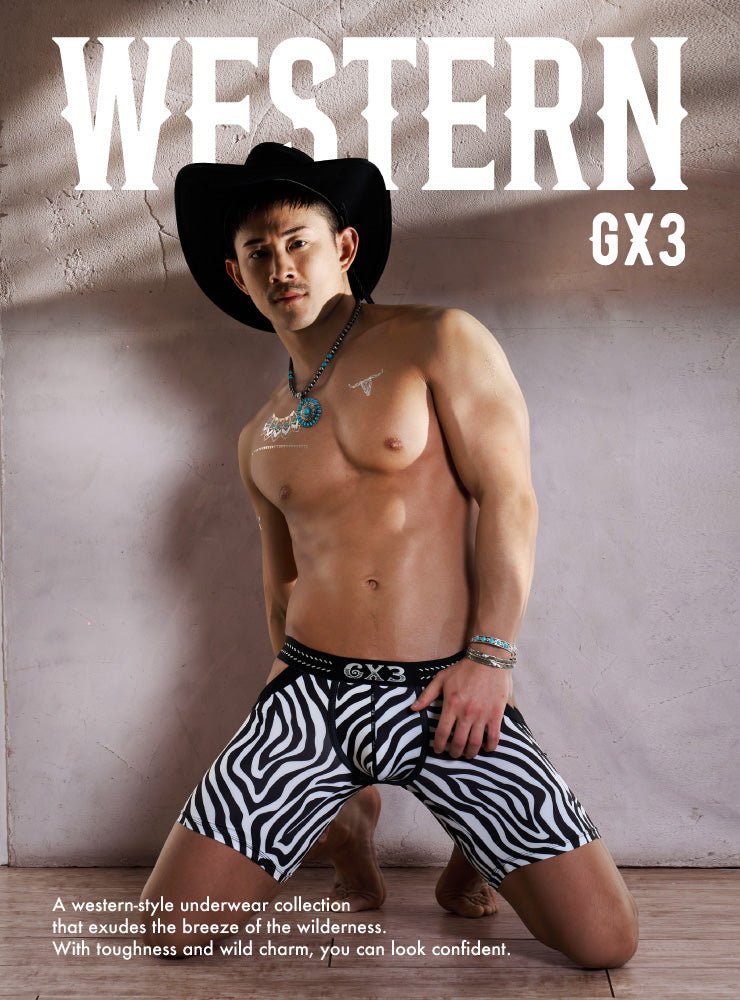 WESTERN PAISLEY BRIEF - 2PACK - | GX3 - | MAD Lifestyle