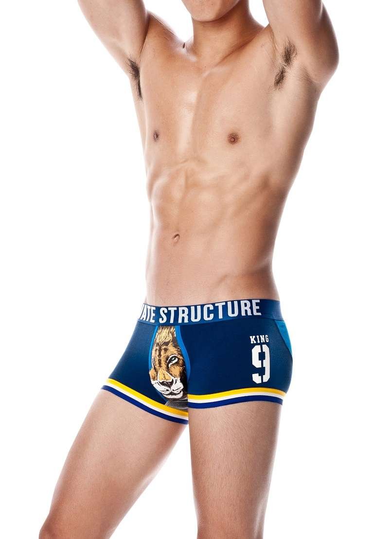 Design Series Sports Gone Wild Trunk - | Private Structure - | MAD Lifestyle