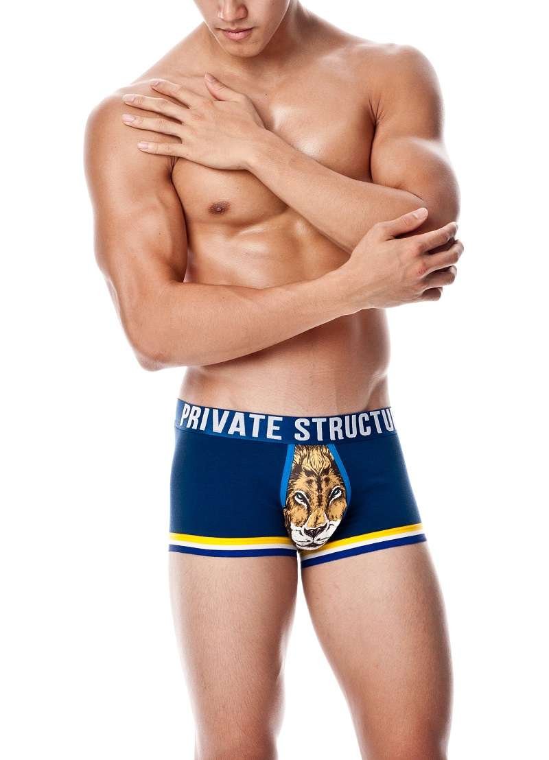 Design Series Sports Gone Wild Trunk - | Private Structure - | MAD Lifestyle