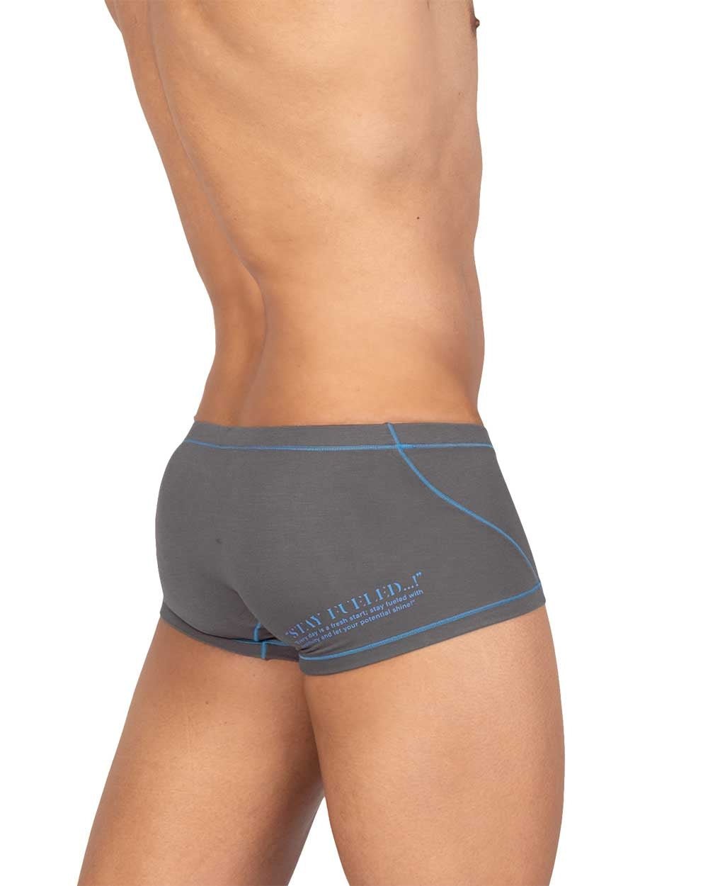 PRD Hipster Underwear - Harmonious Grey - | Private Structure - | MAD Lifestyle