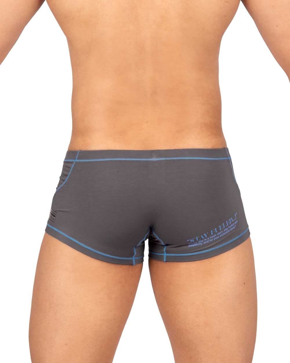 PRD Hipster Underwear - Harmonious Grey - | Private Structure - | MAD Lifestyle