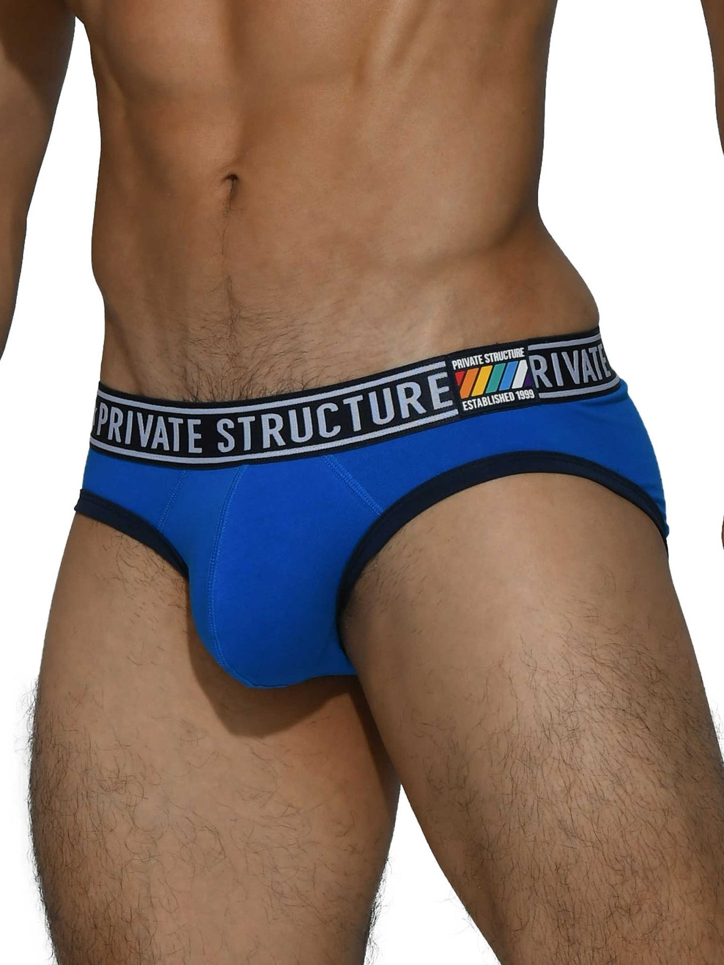 Pride Mini Brief - Freedom Blue - | Private Structure - | MAD Lifestyle
